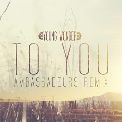 Young Wonder - To You (Ambassadeur's Remix)