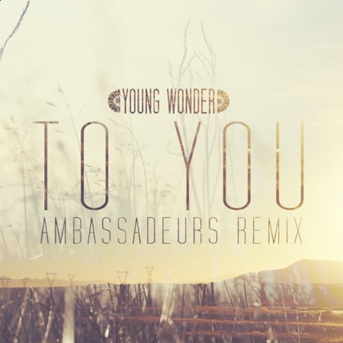 Young Wonder - To You (Ambassadeur's Remix)