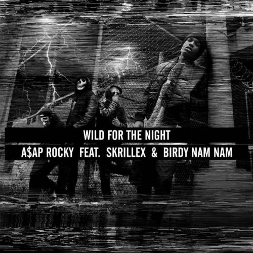 A$AP Rocky featuring Skrillex & Birdy Nam Nam - Wild For The Night