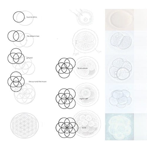 Cocaine 80s featuring Jhene Aiko & Common - Fly A*s Pisces