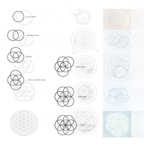 Cocaine 80s featuring Jhene Aiko & Common - Fly A*s Pisces