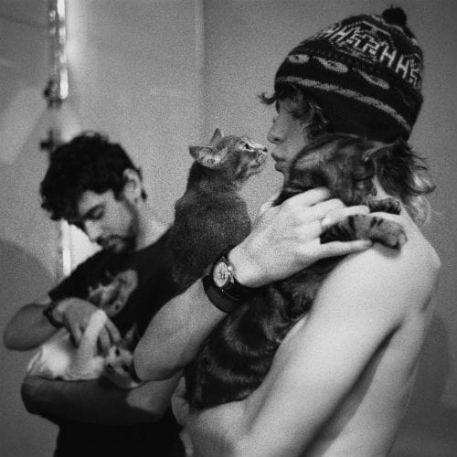 MGMT Unveil New Tracks to Cat