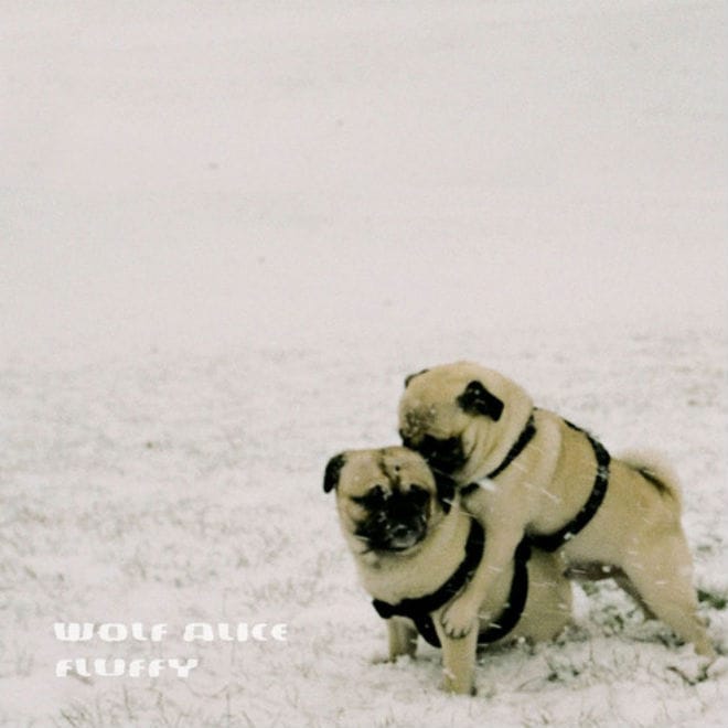 Wolf Alice – White Leather