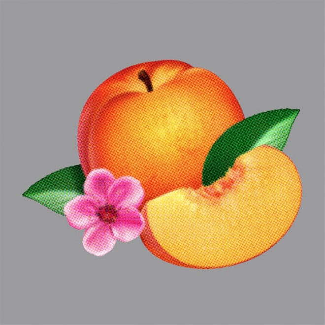 Phoenix - Entertainment (Lyric Video)