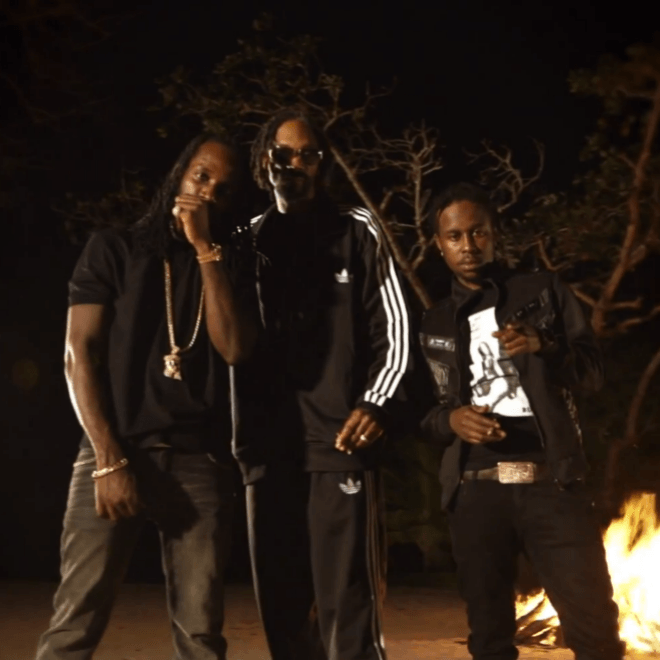 Snoop Lion featuring Mavado & Popcaan - Lighters Up