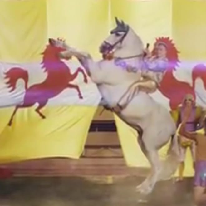 Beach House - Wishes