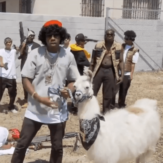 Young Ni**a (Tyler, the Creator) - She Won't a Young Ni**a