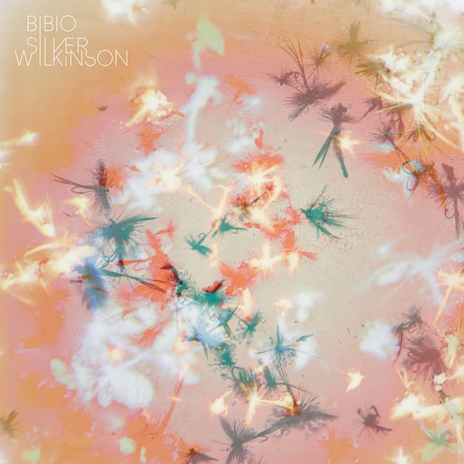 Bibio - Silver Wilkinson (Album Sampler)
