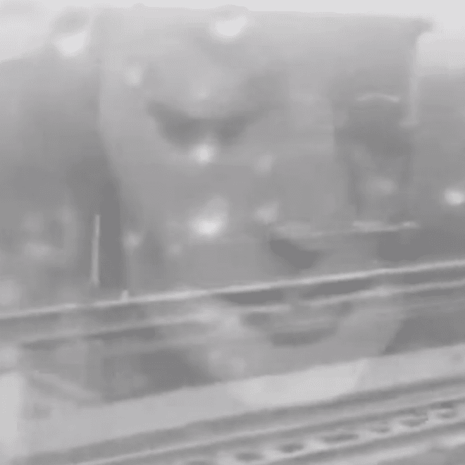 Janine and the Mixtape - Cold Out