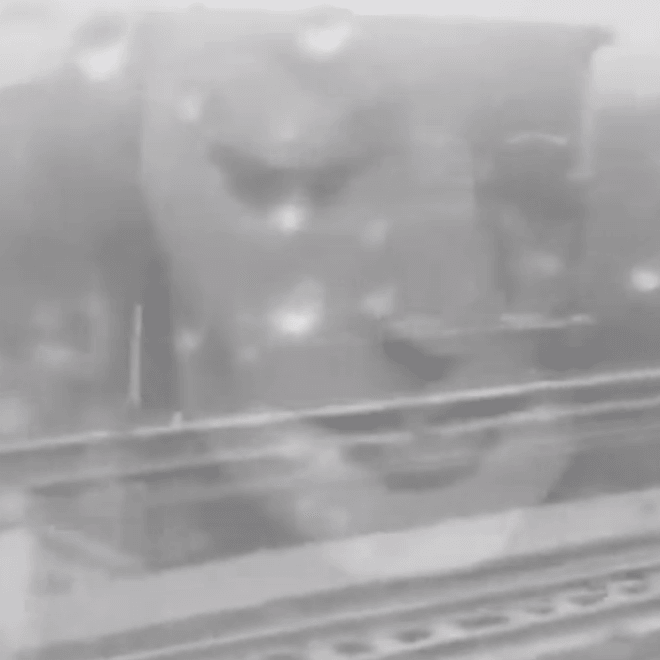 Janine and the Mixtape - Cold Out