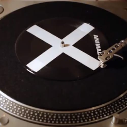 Nick Cave and the Bad Seeds - Animal X