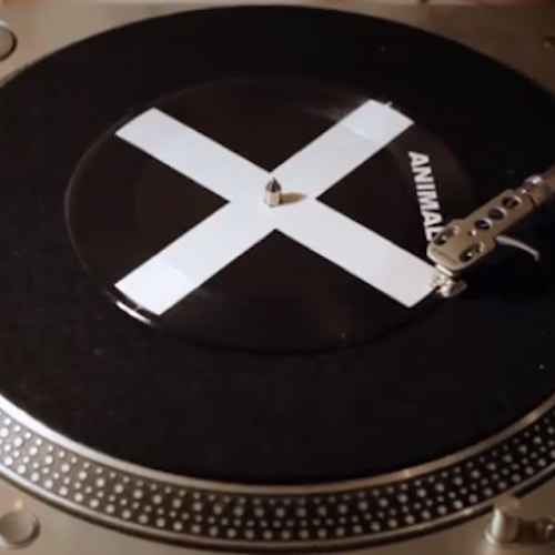 Nick Cave and the Bad Seeds - Animal X