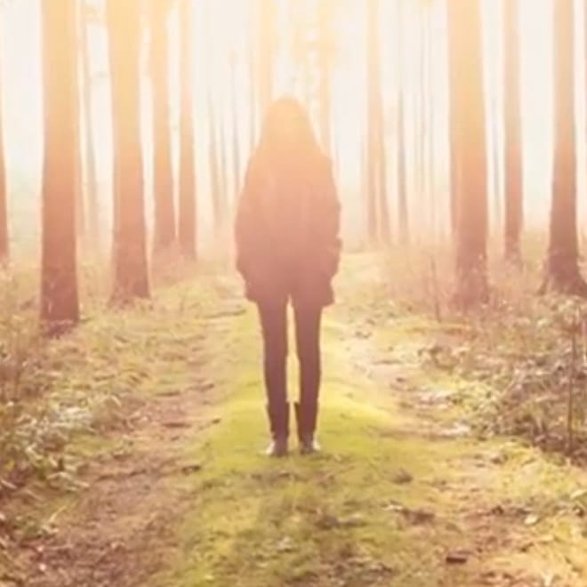 S O H N – Bloodflows