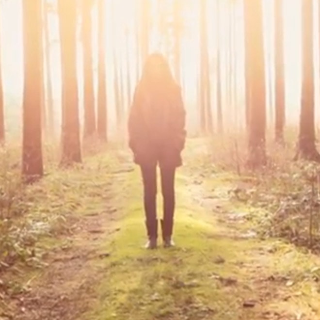 S O H N – Bloodflows