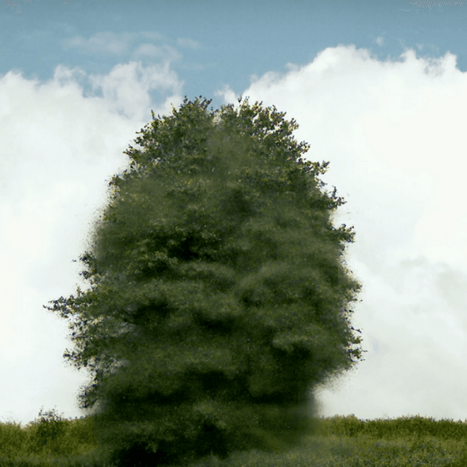 About Group - All Is Not Lost