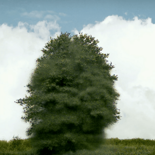 About Group - All Is Not Lost