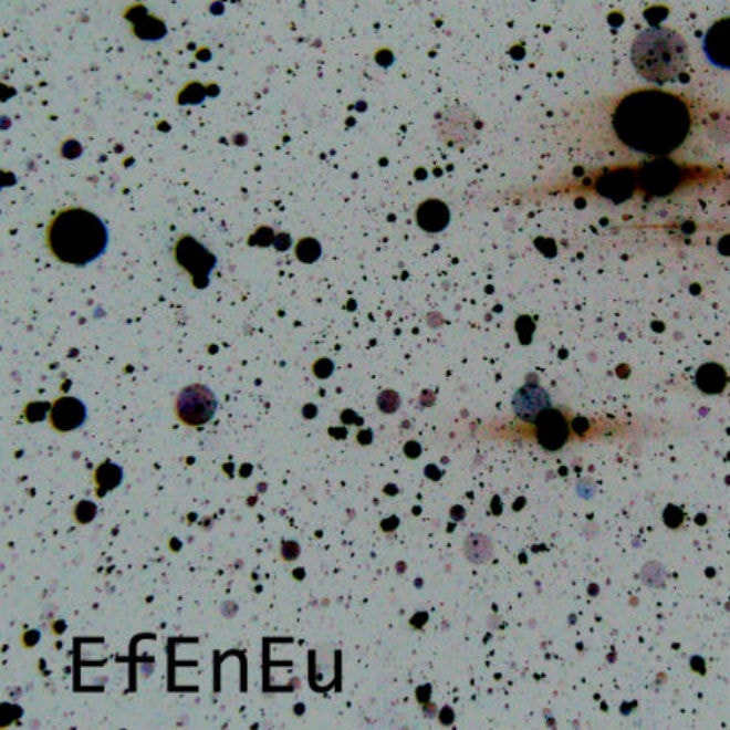 Crass Mammoth - Ef En Eu (Full EP Stream)