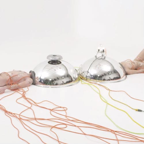 The Flaming Lips - You Lust (NSFW)