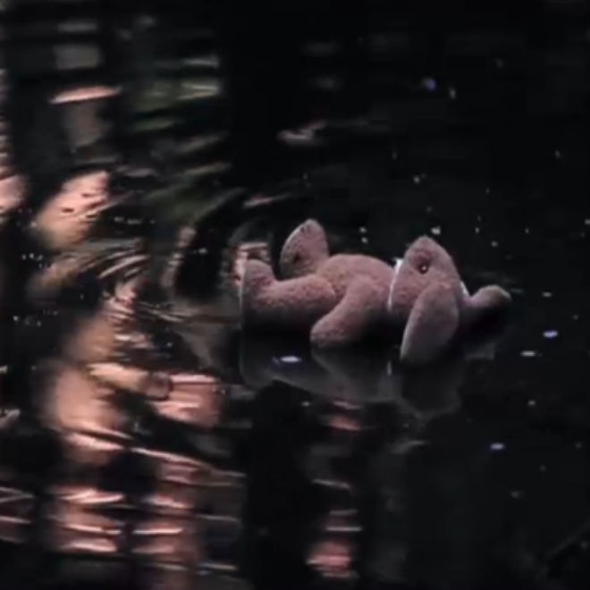 Majical Cloudz - Bugs Don't Buzz