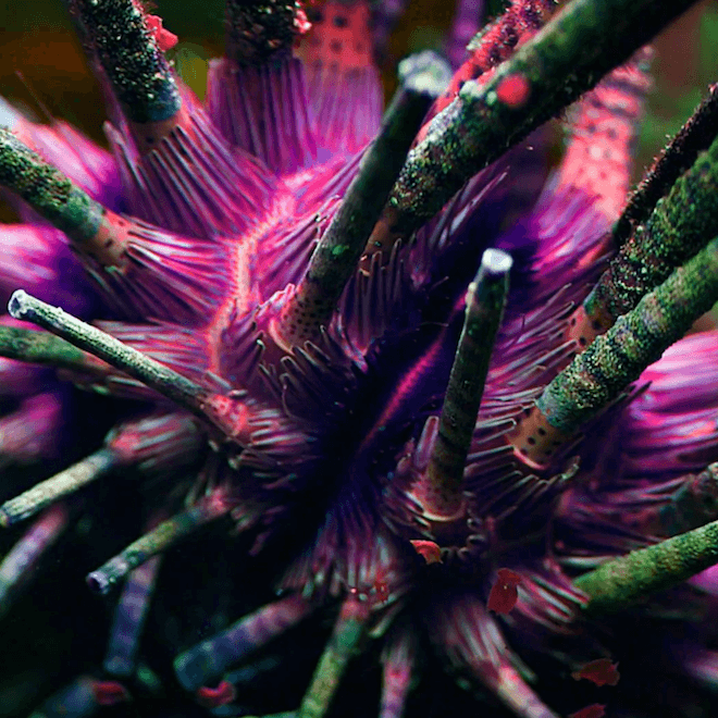  Washed Out – Don’t Give Up