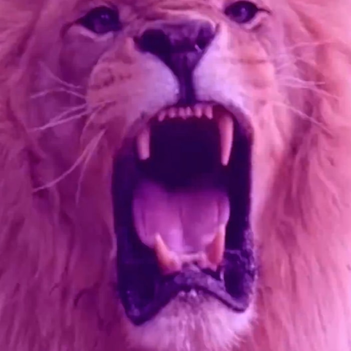 Austin Millz - Got Work