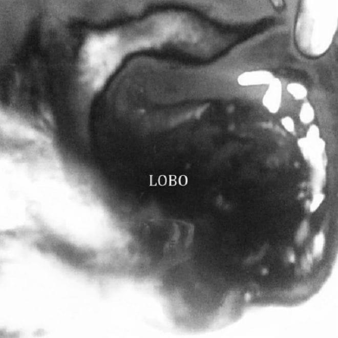 Haleek Maul - Lobo (Produced by Forest Swords)