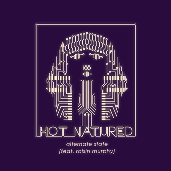 Hot Natured featuring Roisin Murphy - Alternate State