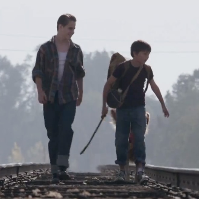 Avicii featuring Dan Tyminski – Hey Brother