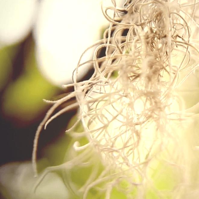 Mikky Ekko - Stay (Original Demo)