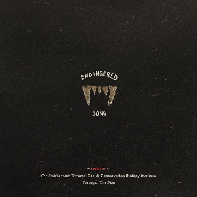 Support Portugal. The Man's #EndangeredSong For the Sumatran Tiger 