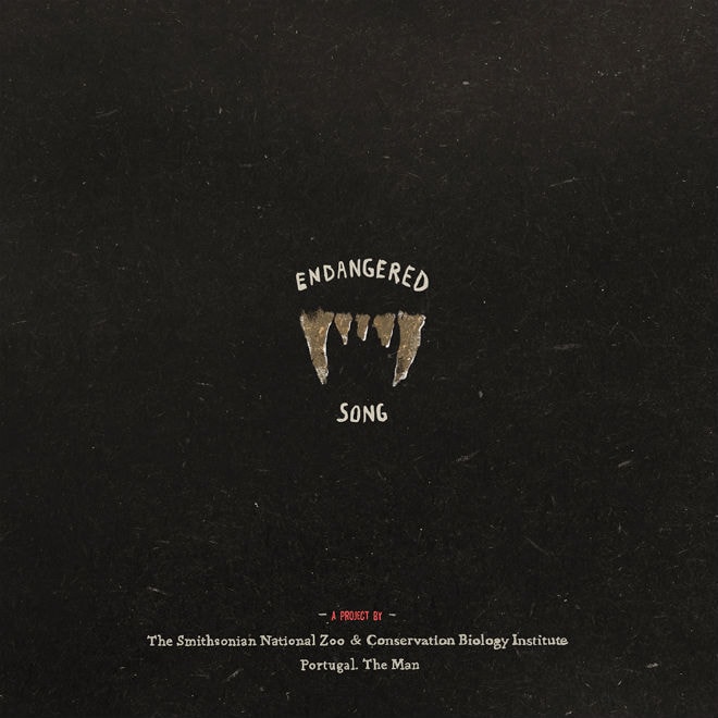 Support Portugal. The Man's #EndangeredSong For the Sumatran Tiger