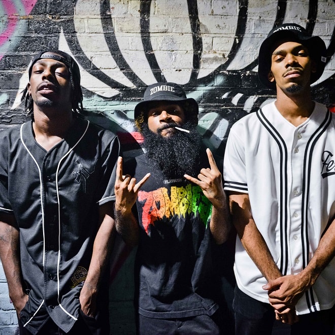 Flatbush Zombies - Thugnificense