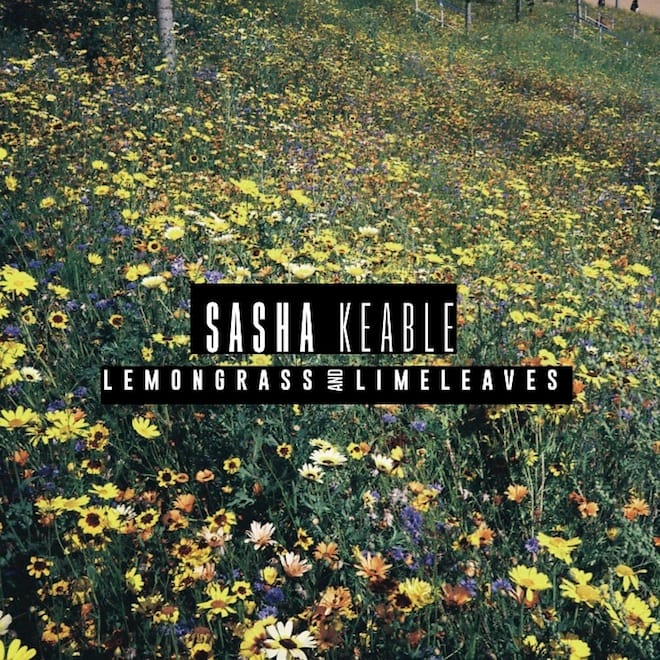 Sasha Keable - Lemongrass & Limeleaves (EP)