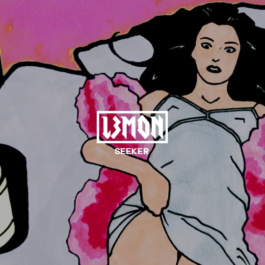 L3MON - Seeker