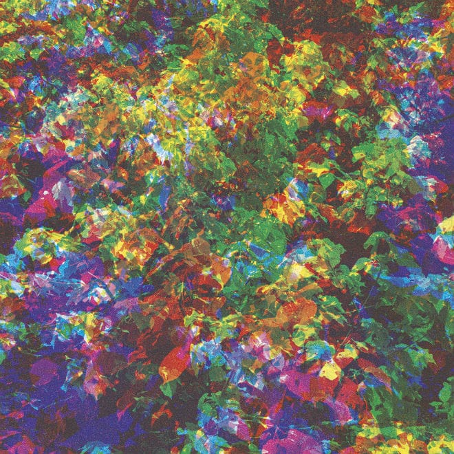 Caribou Shares New Single, Announces New Album 