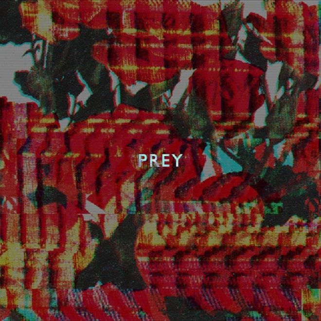 Doley Bernays - Prey