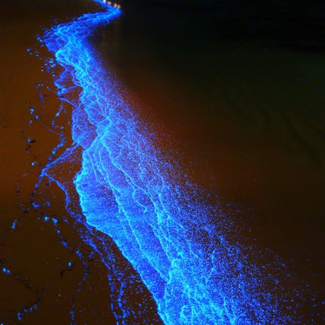 James Fauntleroy - Mo'Nin