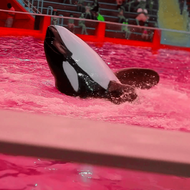 Sir Michael Rocks - F*** Sea World