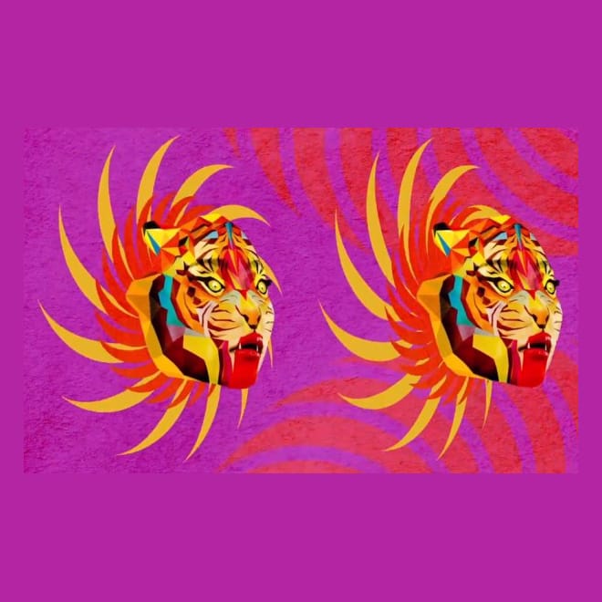 Sufjan Stevens - Year of the Tiger