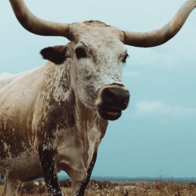 Alt-J - Left Hand Free