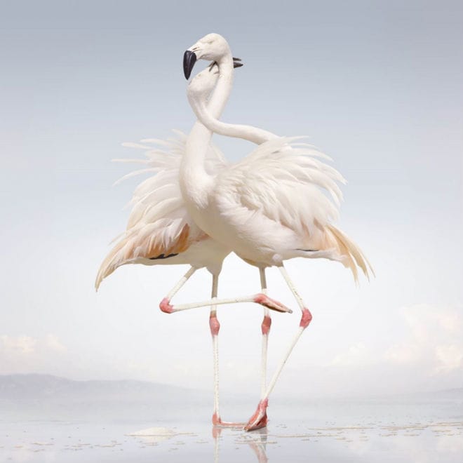 Rustie - Green Language (Full Album Stream)