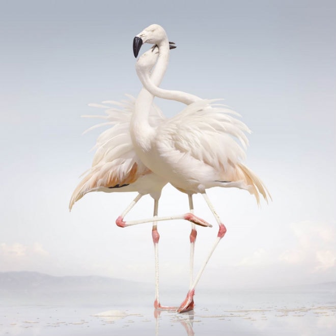 Rustie - Green Language (Full Album Stream)