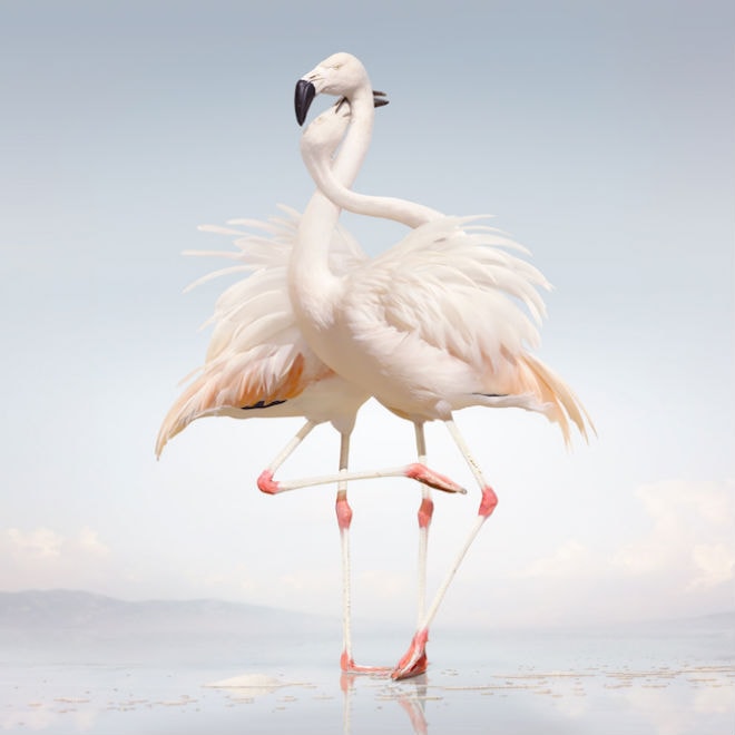 Rustie - Green Language