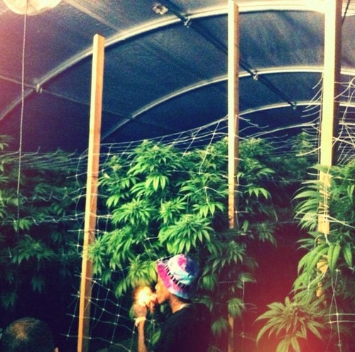 Dej Loaf featuring Wiz Khalifa – Try Me (Remix)