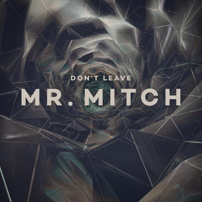 Mr. Mitch - Don't Leave