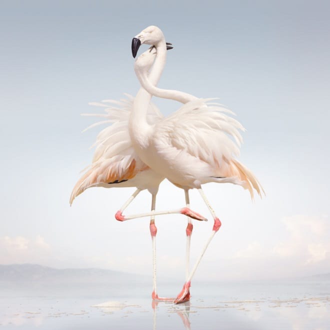 Rustie featuring Redinho - Lost (VIP)