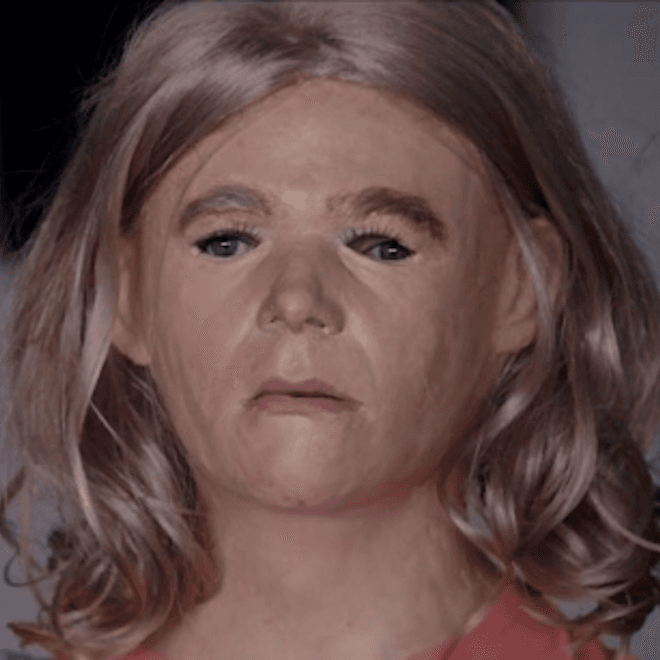 Ariel Pink - Picture Me Gone