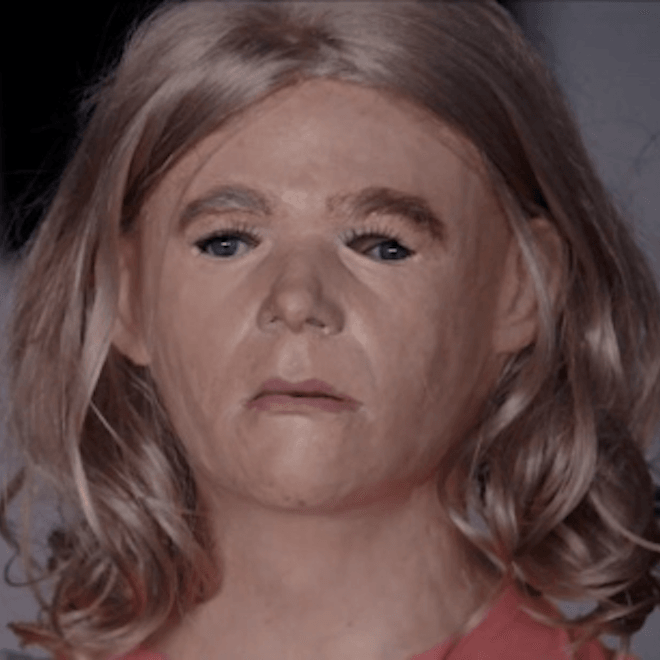 Ariel Pink - Picture Me Gone