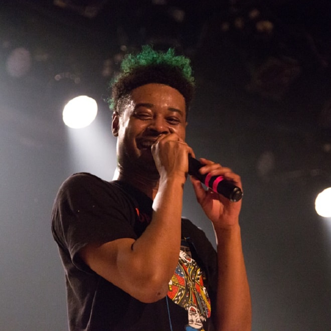 Listen to Danny Brown's "Rap Monument" Verse