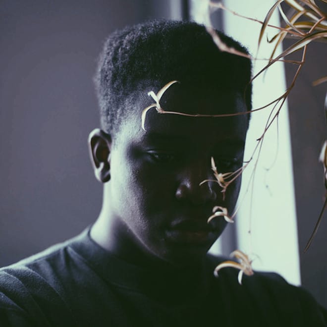 salute featuring Vanessa Elisha - Real Cool